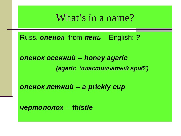 What’s in a name? Russ.  опенок  from пень English:  ? опенок  осенний