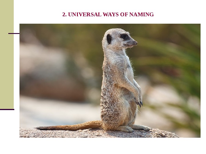 2. UNIVERSAL WAYS OF NAMING 