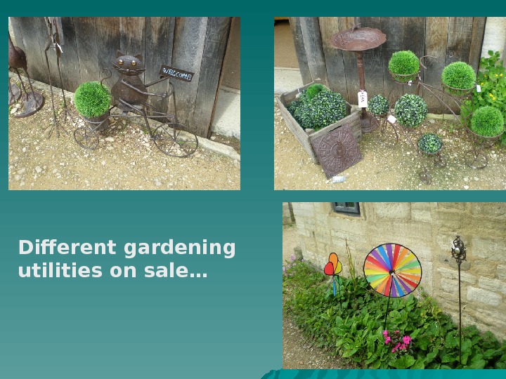   Different gardening utilities on sale… 