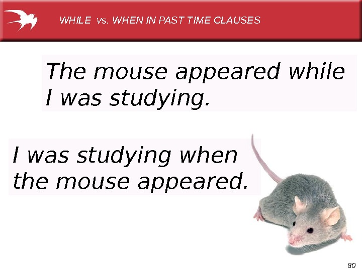 80 WHILE vs. WHEN IN PAST TIME CLAUSES The mouse appeared while I was studying when