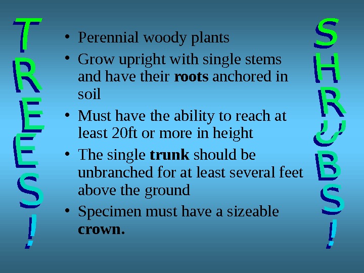  • Perennial woody plants • Grow upright with single stems and have their roots anchored
