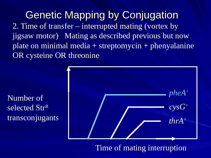   Genetic Mapping by Conjugation  2. Time of transfer – interrupted mating (vortex by