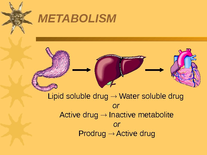 Lipid soluble drug  Water soluble drug or  Active drug  Inactive metabolite or Prodrug