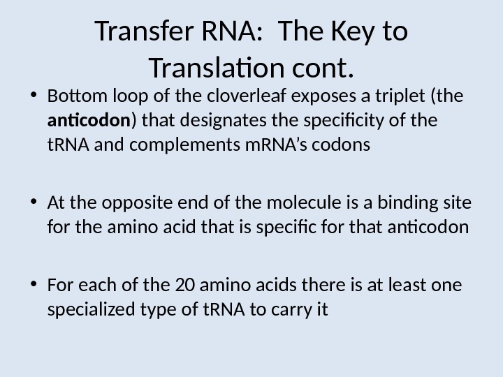 Transfer RNA:  The Key to Translation cont.  • Bottom loop of the cloverleaf exposes