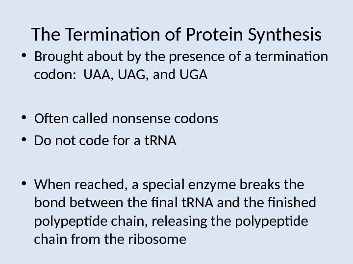 The Termination of Protein Synthesis • Brought about by the presence of a termination codon: 