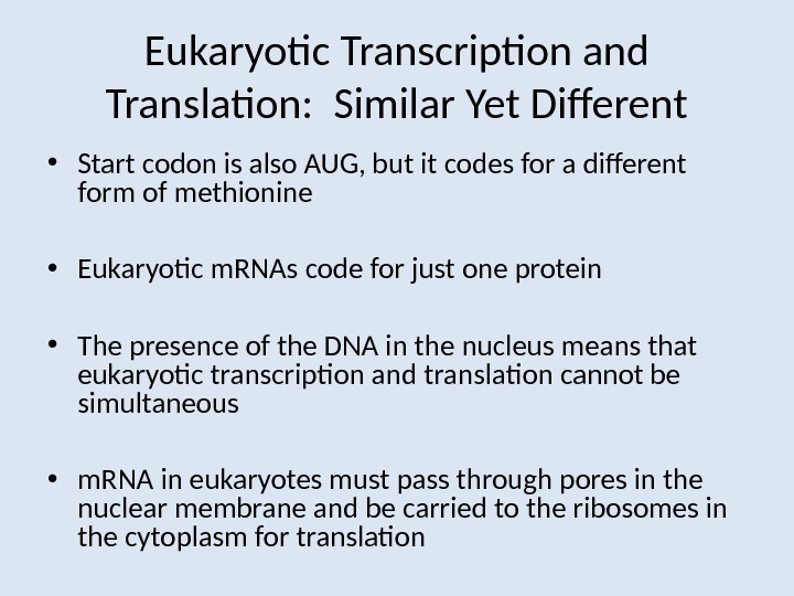 Eukaryotic Transcription and Translation:  Similar Yet Different • Start codon is also AUG, but it