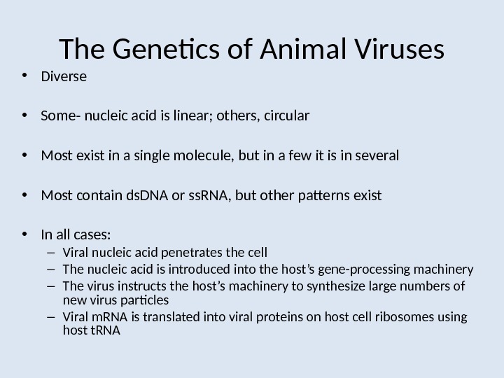 The Genetics of Animal Viruses • Diverse • Some- nucleic acid is linear; others, circular •