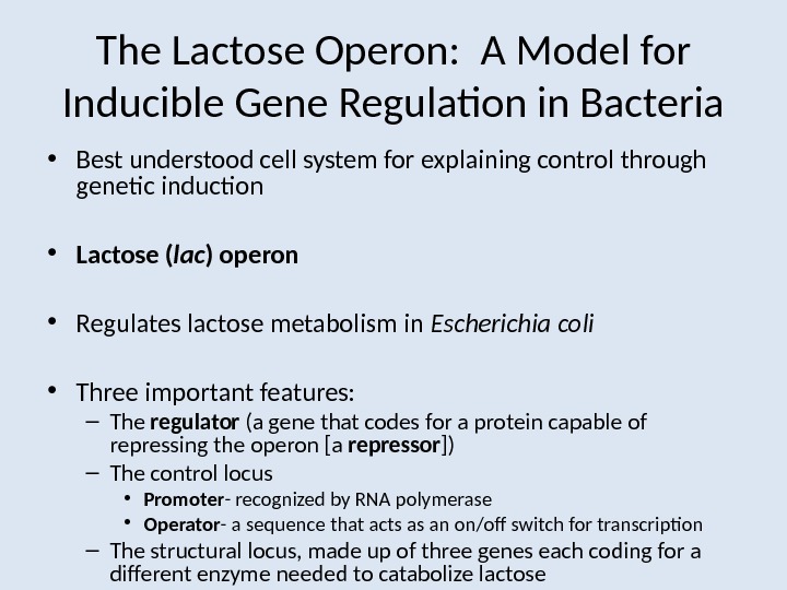 The Lactose Operon:  A Model for Inducible Gene Regulation in Bacteria • Best understood cell
