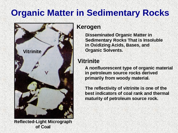 Organic Matter in Sedimentary Rocks Reflected-Light Micrograph of Coal. Vitrinite Kerogen Disseminated Organic Matter in Sedimentary