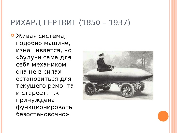 РИХАРД ГЕРТВИГ (1850 – 1937) Живая система,  подобно машине,  изнашивается, но  «будучи сама