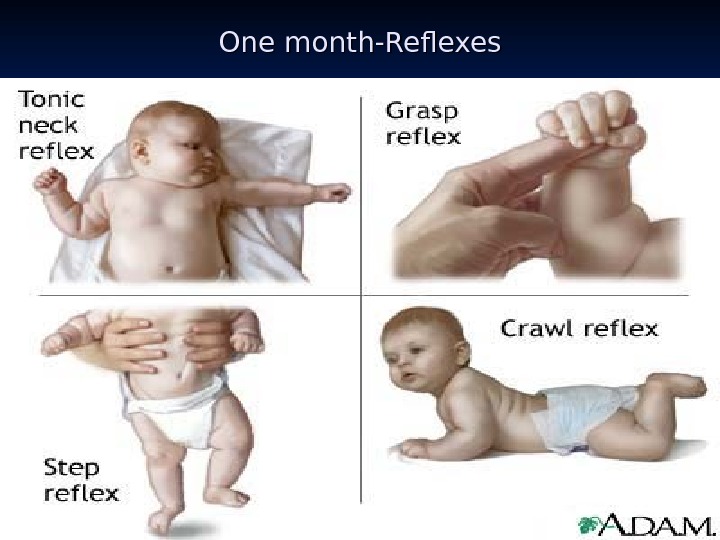 One month-Reflexes 