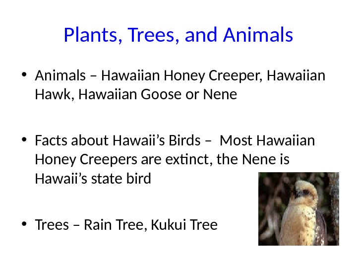 Plants, Trees, and Animals • Animals – Hawaiian Honey Creeper, Hawaiian Hawk, Hawaiian Goose or Nene