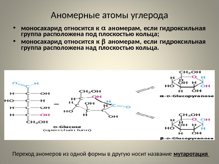 Аномерные атомы углерода • моносахарид относится к  аномерам, если гидроксильная группа расположена под плоскостью кольца;