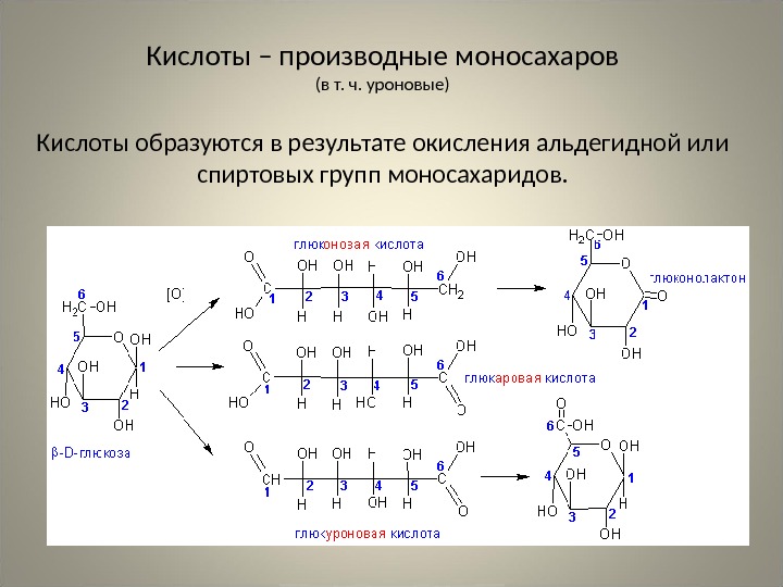 Кислоты – производные моносахаров (в т. ч. уроновые) Кислоты образуются в результате окисления альдегидной или спиртовых
