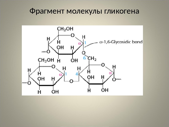 Фрагмент молекулы гликогена 