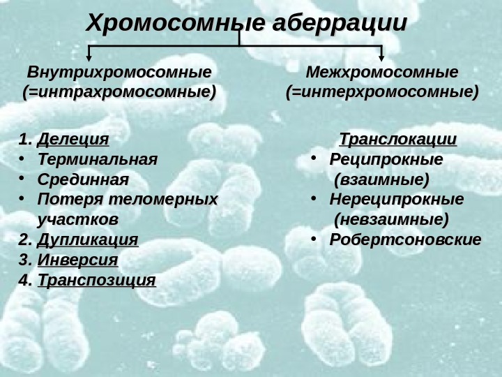   Хромосомные аберрации Внутрихромосомные (=интрахромосомные) Межхромосомные (=интерхромосомные) 1. 1. Делеция • Терминальная • Срединная •
