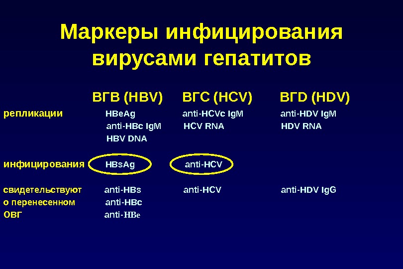      ВГВ  (HBV) ВГС (HCV)  ВГD (HDV) репликации  