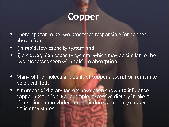Copper  • There appear to be two processes responsible for copper absorption:  • i)