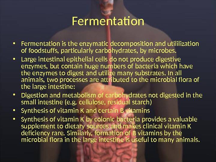 Fermentation • Fermentation is the enzymatic decomposition and utililization of foodstuffs, particularly carbohydrates, by microbes. 