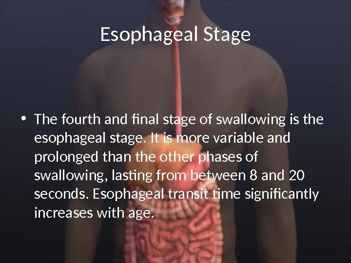 Esophageal Stage • The fourth and final stage of swallowing is the esophageal stage. It is