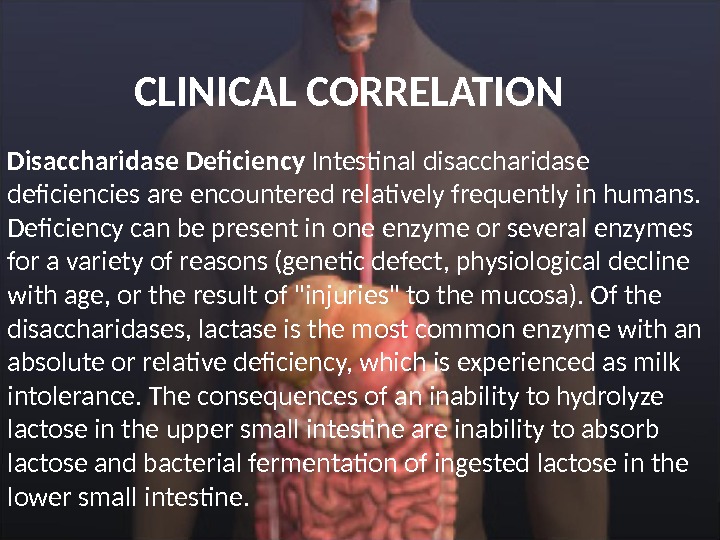 CLINICAL CORRELATION  Disaccharidase Deficiency Intestinal disaccharidase deficiencies are encountered relatively frequently in humans.  Deficiency