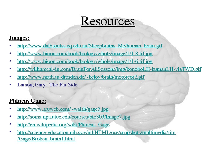 Resources Images:  • http: //www. dalbsoutss. eq. edu. au/ Sheepbrains _Me/human_brain. gif • http: //www.