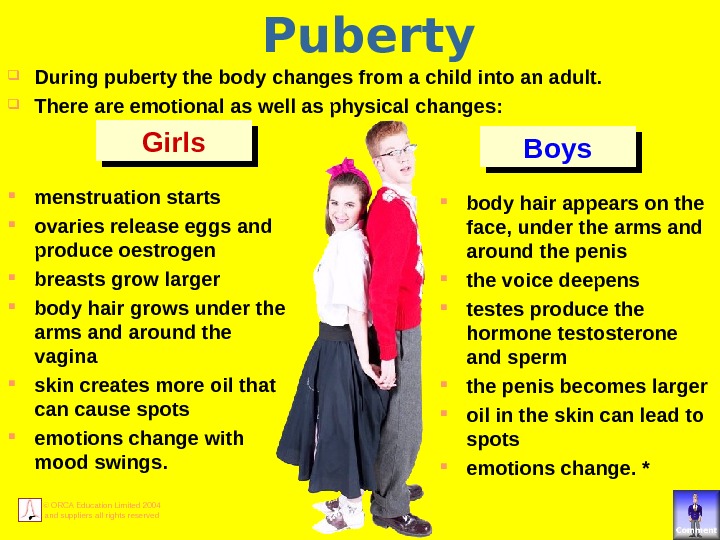 © ORCA Education Limited 2004 and suppliers all rights reserved Puberty During puberty the body changes