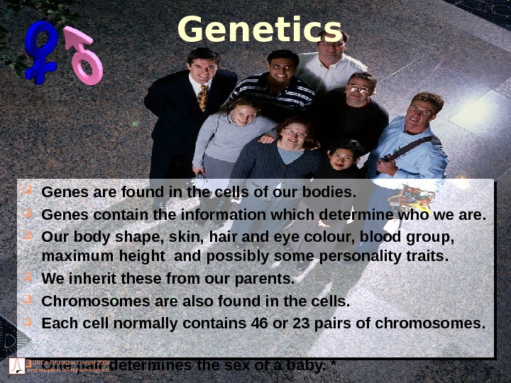 © ORCA Education Limited 2004 and suppliers all rights reserved Genetics Genes are found in the