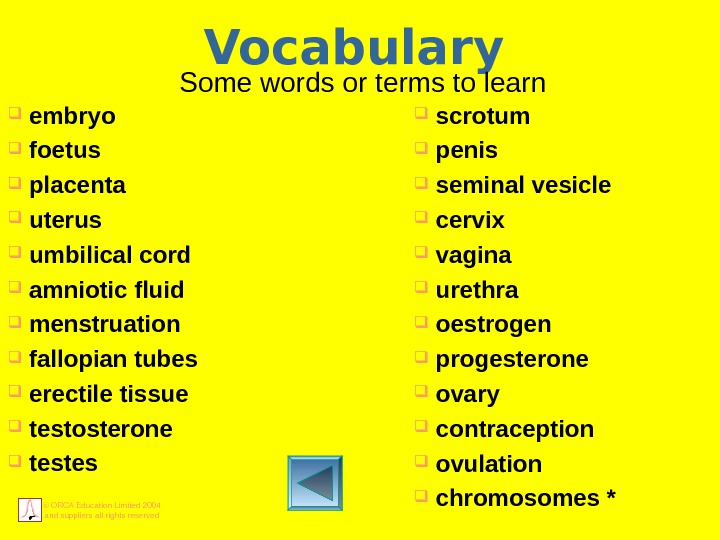 © ORCA Education Limited 2004 and suppliers all rights reserved Vocabulary Some words or terms to
