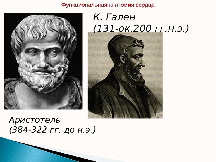 Аристотель (384 -322 гг. до н. э. ) К. Гален (131 -ок. 200 гг. н. э.