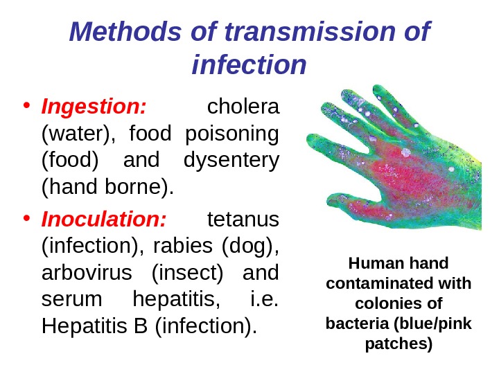   Methods of transmission of infection • Ingestion:  cholera (water),  food poisoning (food)