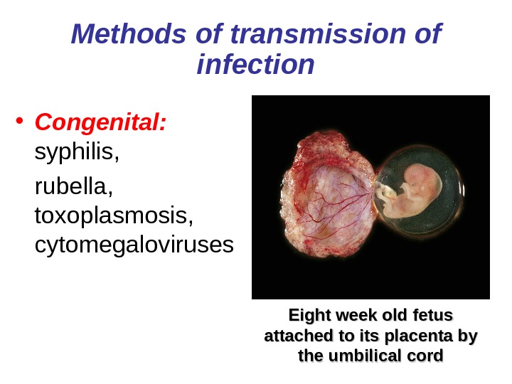   Methods of transmission of infection • Congenital: syphilis, rubella, toxoplasmosis,  cytomegaloviruses Eight week