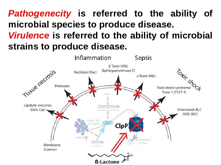   Pathogenecity  is referred to the ability of microbial species to produce disease. Virulence