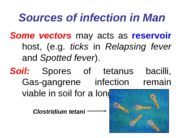   Sources of infection in Man Some vectors  may acts as reservoir  host,