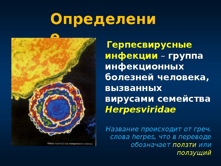  Герпесвирусные инфекции  – группа инфекционных болезней человека,  вызванных вирусами семейства Herpesviridae 