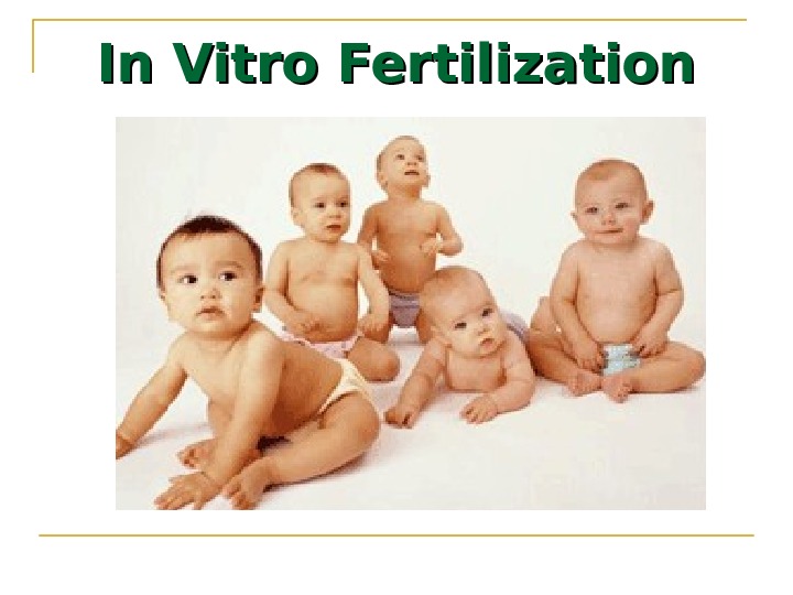In Vitro Fertilization 