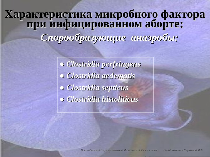 Спорообразующие анаэробы: ● ● Clostridia perfringens ● ● Clostridia aedematis ● ● Clostridia septicus ● ●