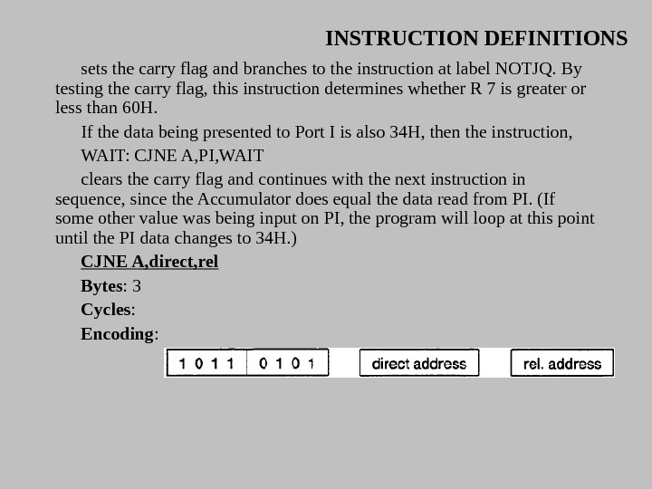INSTRUCTION DEFINITIONS sets the carry flag and branches to the instruction at label NOTJQ. By testing