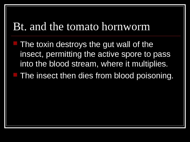Bt. and the tomato hornworm The toxin destroys the gut wall of the insect, permitting the