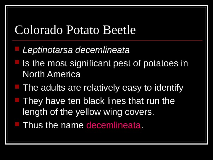 Colorado Potato Beetle Leptinotarsa decemlineata Is the most significant pest of potatoes in North America The