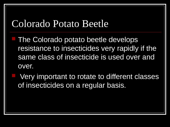 Colorado Potato Beetle The Colorado potato beetle develops resistance to insecticides very rapidly if the same
