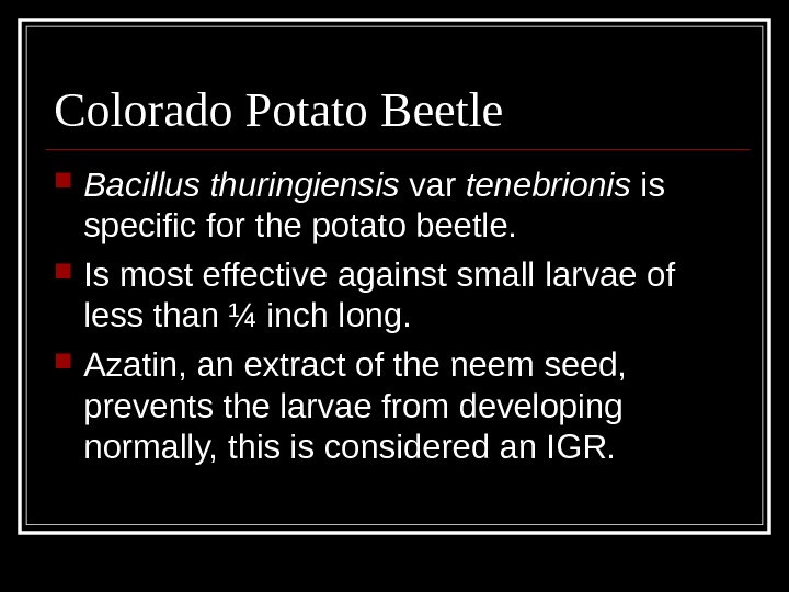 Colorado Potato Beetle Bacillus thuringiensis var tenebrionis is specific for the potato beetle.  Is most
