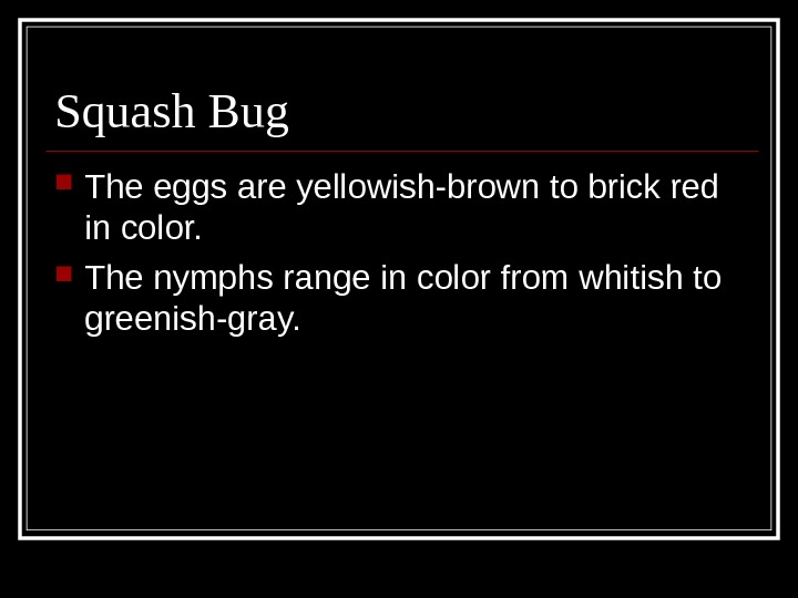Squash Bug The eggs are yellowish-brown to brick red in color.  The nymphs range in