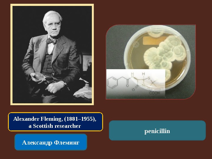Alexander Fleming, (1881– 1955),  a Scottish researcher Александр Флеминг penicillin 
