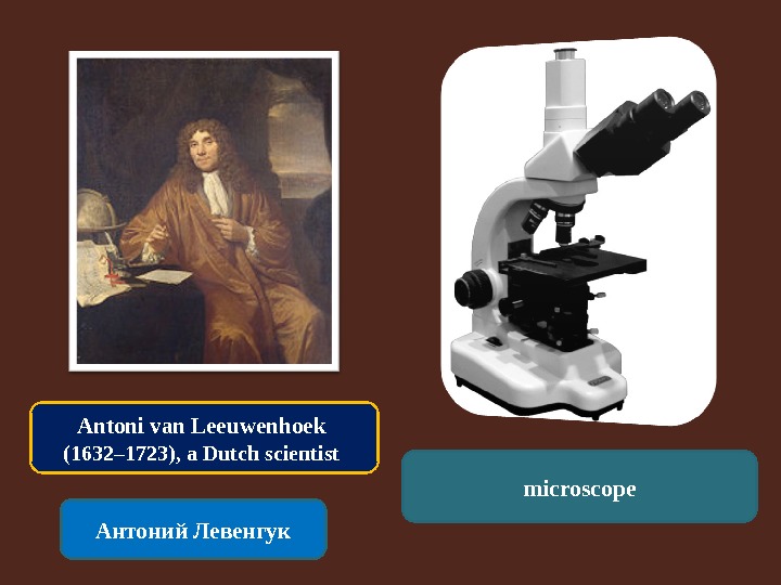 Antoni van Leeuwenhoek (1632– 1723), a Dutch scientist Антоний Левенгук microscope 