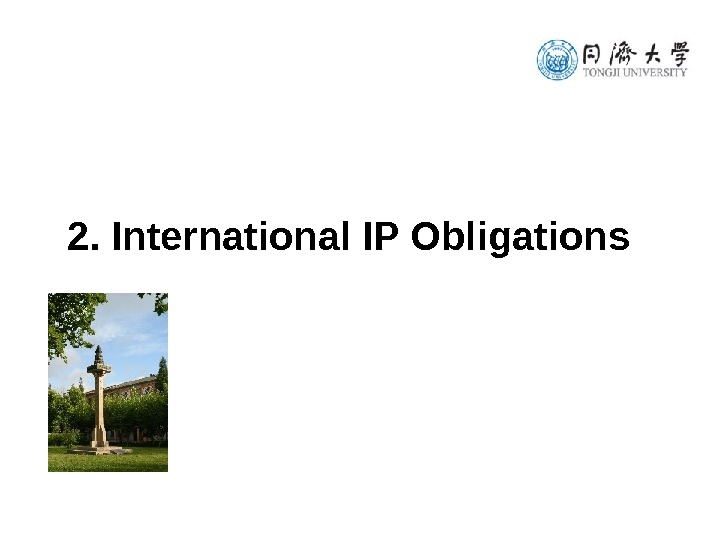  2. International IP Obligations  