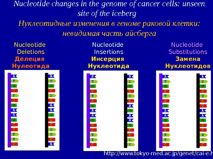  20 Nucleotide changes in the genome of cancer cells: unseen site of the iceberg 