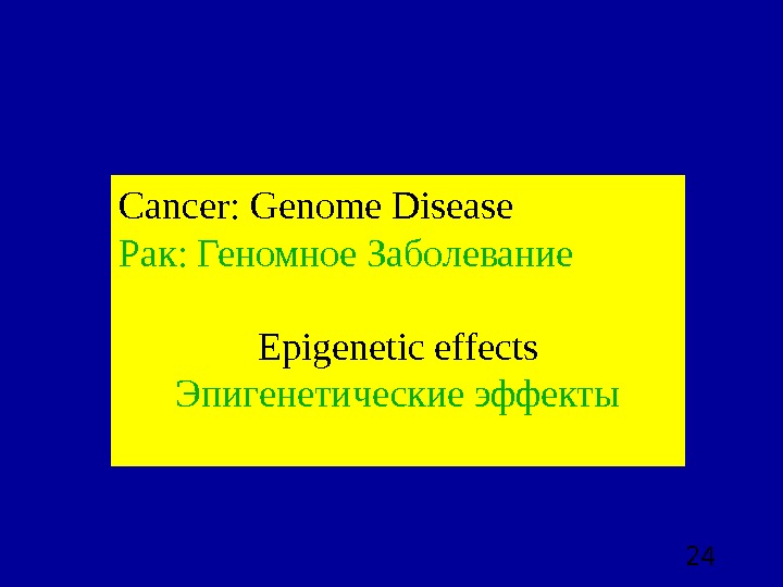  24 Cancer: Genome Disease Рак: Геномное Заболевание Epigenetic effects Эпигенетические эффекты 