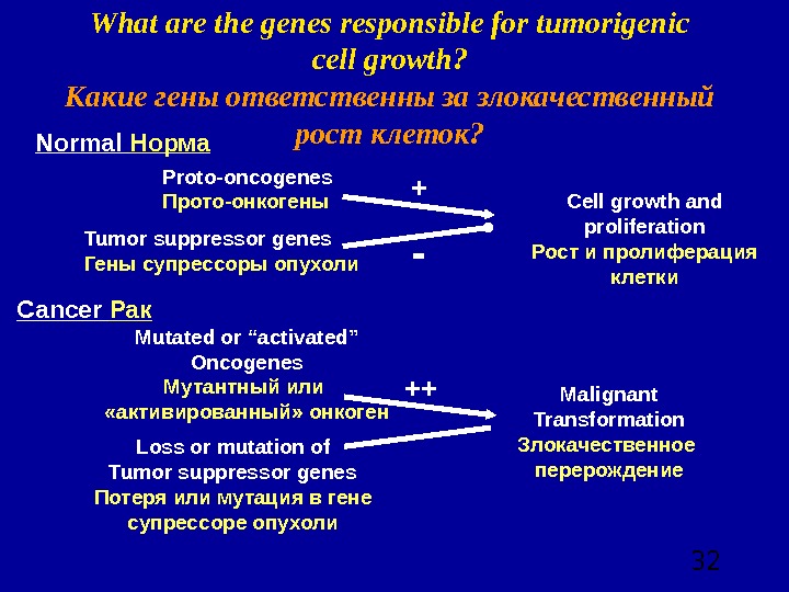  32 What are the genes responsible for tumorigenic cell growth? Какие гены ответственны за злокачественный