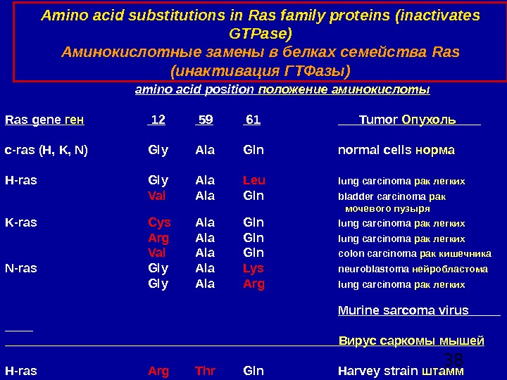  38  amino acid position  положение аминокислоты Ras gene  ген 12 59 61